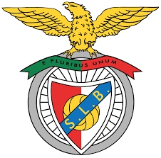 Maillot De S.L.Benfica Enfant